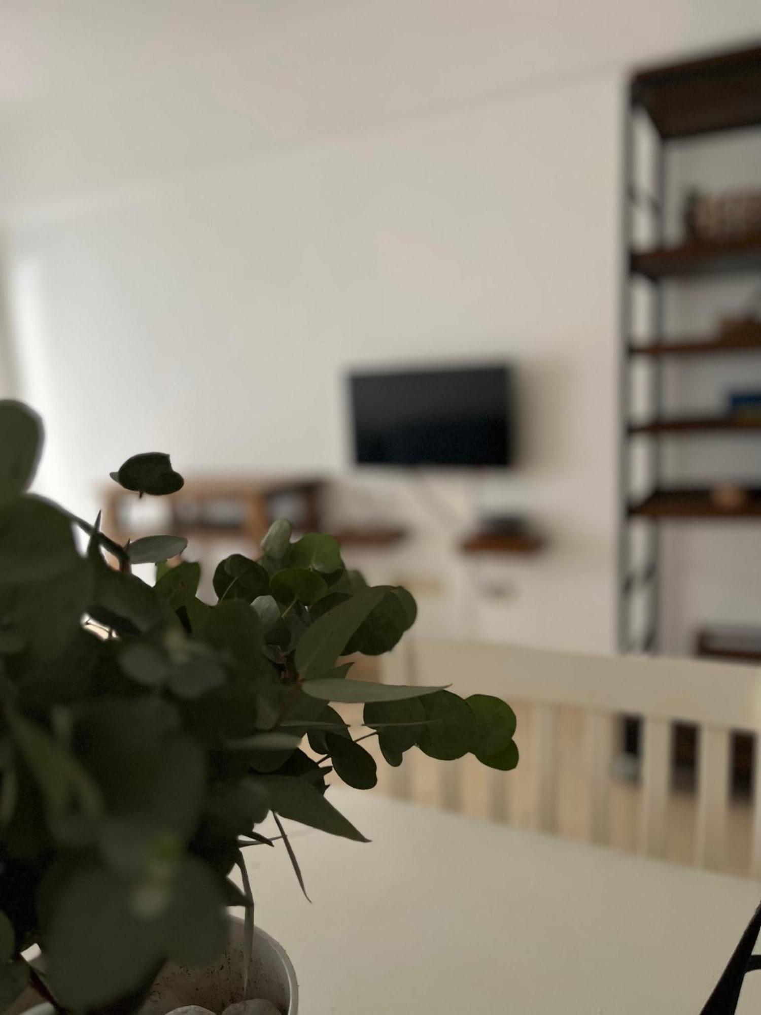 Baires Garden Apartment Буенос Айрес Екстериор снимка